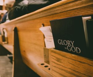 pexels-brett-sayles-3633711 pexels-brett-sayles-3633711